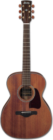 Акустична гітара Ibanez AC2040 OPN