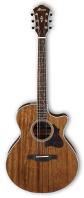 Електроакустична гітара Ibanez AE245 NT