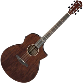 Електроакустична гітара Ibanez AEW40CD NT