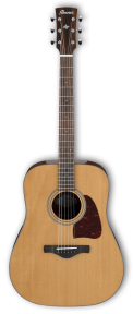 Акустична гітара Ibanez AVD9 NT