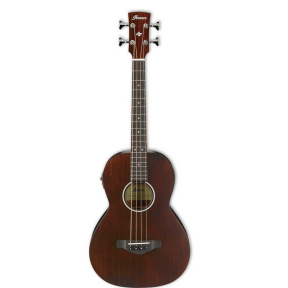 Электроакустическая бас-гитара Ibanez AVNB1E BV