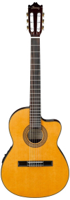 Електроакустична гітара Ibanez GA5TCE AM