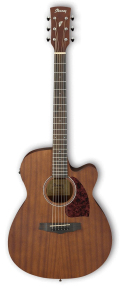 Акустическая гитара Ibanez PC12MHCE OPN
