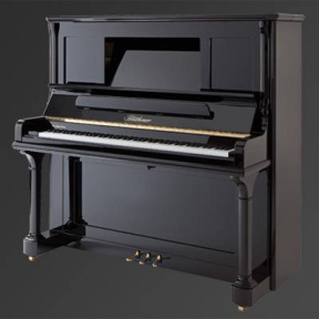 Піаніно Julius Bluthner BLU S Black, polished