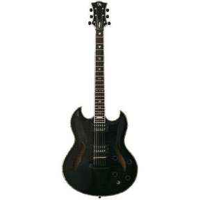 Електрогітара Mayones Virtuoso