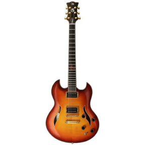 Электрогитара Mayones Virtuoso 2