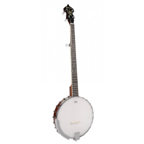 Банджо Richwood RMB405