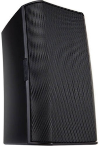 Гучномовець QSC AD-S6T black
