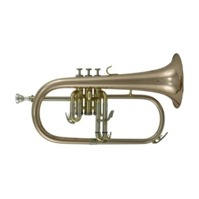 Флюгельгорн Roy Benson FH-302G (RB701095)