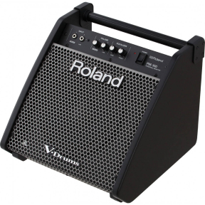 Гітарний комбопідсилювач Roland PM100