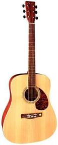 Акустическая гитара Tenson D-10 NT F501310