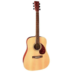 Акустическая гитара VGS Pure D-10 NT (PS501310)