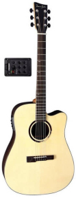 Електроакустична гітара VGS R-10 CE Rose