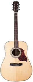 Гітара акустична Virginia VD210S