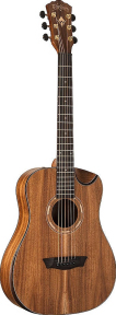 Акустическая гитара Washburn WCGM55K