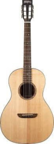 Акустична гітара Washburn WP33SRS