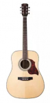 Гітара акустична Virginia VD120S