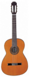 Классическая гитара Aria AC 25BB