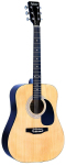 Акустична гітара Falcon FG100N