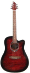 Акустическая гитара Flycat C100 TRD
