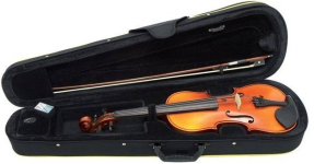 Скрипка Gewa 4/4 EW Plus PS401631