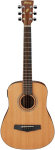 Акустическая гитара Ibanez PF58 OPN