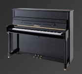 Пианино Julius Bluthner BLU C Black, polished