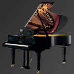 Рояль Julius Bluthner BLU S10 Black, polished