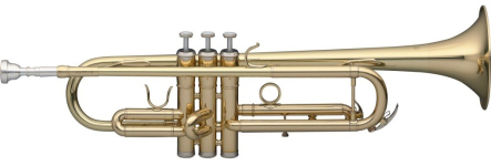 Труба Stagg WS-TR115
