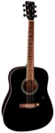 Акустическая гитара Tenson D-10 BK F501316