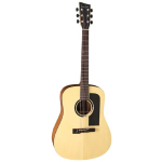 Акустическая гитара VGS B-10 Bayou NT (VG500500)