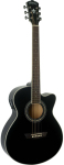 Электроакустическая гитара Washburn EA12 B