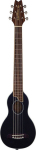 Акустическая гитара Washburn RO10SBK