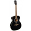 Акустическая гитара Richwood RA-12-BK