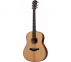 Гітара електроакустична TAYLOR GUITARS 517e BUILDER'S EDITION