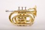 Кишенькова труба Birdland Pocket Trumpet BPT-23