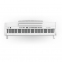 Цифрове піаніно Orla Stage Studio DLS (Білий)