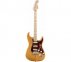 Електрогітара FENDER AMERICAN PROFESSIONAL LIMITED EDITION STRATOCASTER MN AGN 