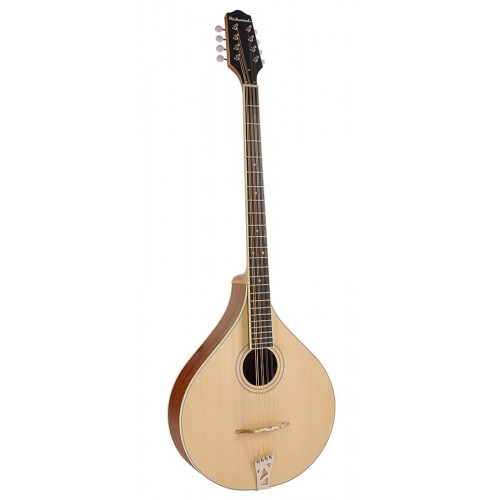 Бузукі Richwood RIBZ-40