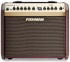 Комбопідсилювач універсальний Fishman PRO-LBT-EU5 Loudbox Mini