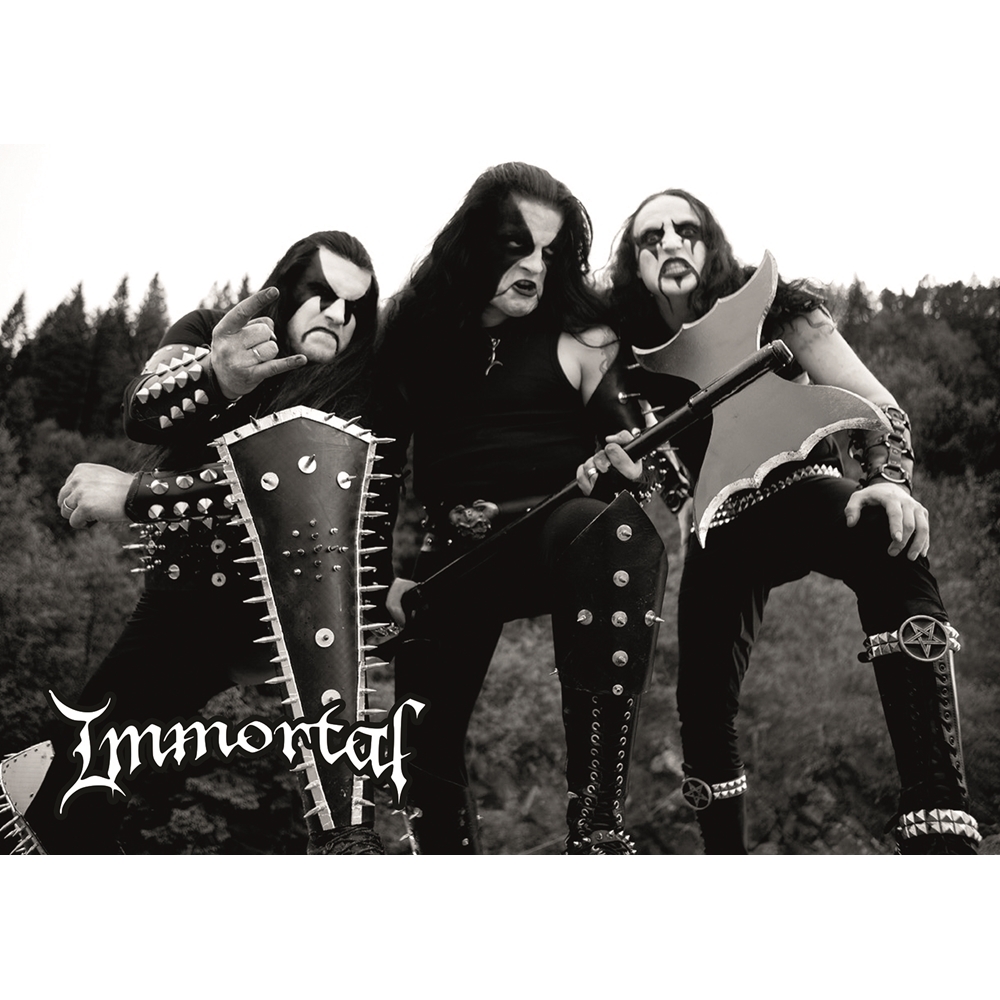 Плакат Immortal
