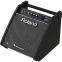 Гітарний комбопідсилювач Roland PM100