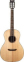 Акустична гітара Washburn WP33SRS
